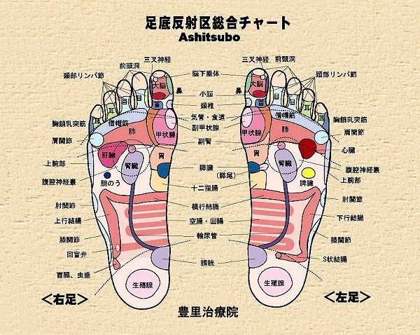 ���ꔽ�˗̈�}